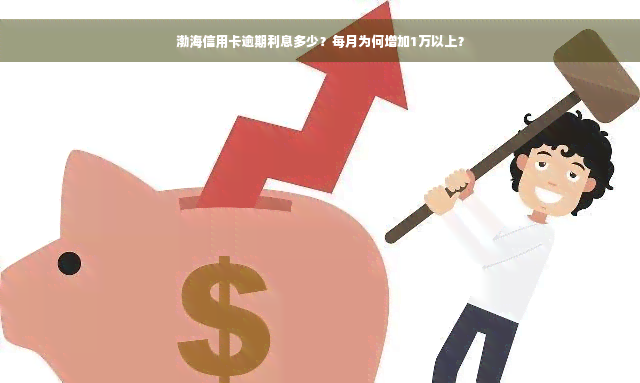 渤海信用卡逾期利息多少？每月为何增加1万以上？