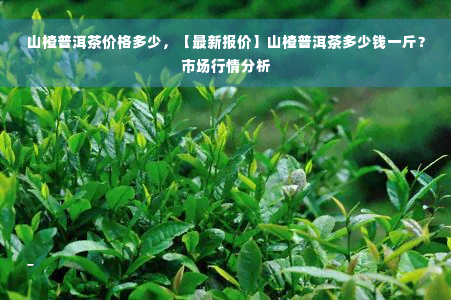 山楂普洱茶价格多少，【最新报价】山楂普洱茶多少钱一斤？市场行情分析