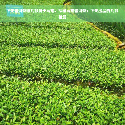 下关普洱茶哪几款属于高端，探秘高端普洱茶：下关出品的几款佳品