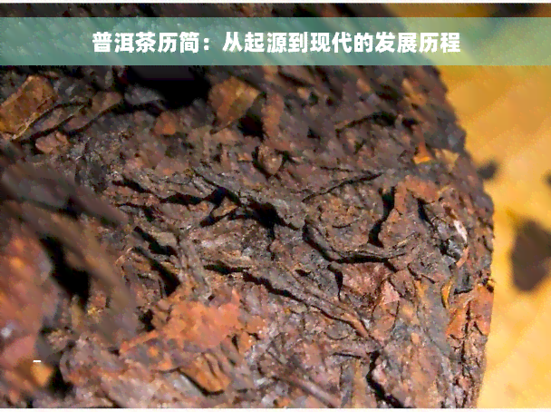 普洱茶历简：从起源到现代的发展历程