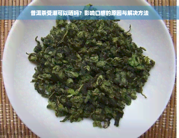 普洱茶受潮可以晒吗？影响口感的原因与解决方法