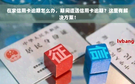 在家信用卡逾期怎么办，期间遭遇信用卡逾期？这里有解决方案！