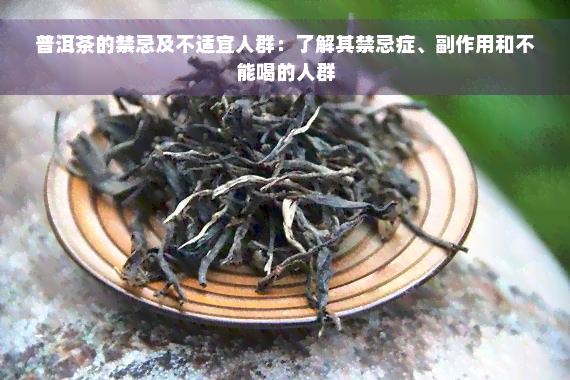 普洱茶的禁忌及不适宜人群：了解其禁忌症、副作用和不能喝的人群