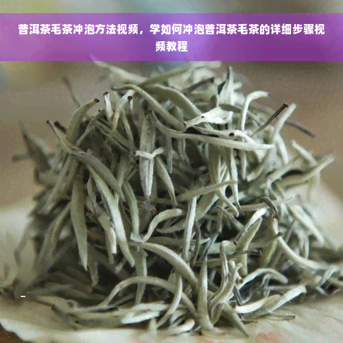 普洱茶毛茶冲泡方法视频，学如何冲泡普洱茶毛茶的详细步骤视频教程