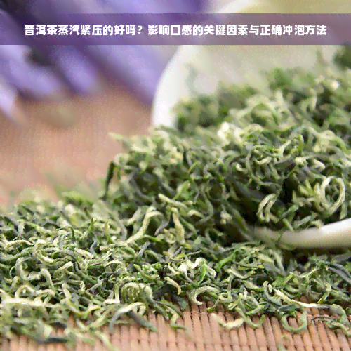 普洱茶蒸汽紧压的好吗？影响口感的关键因素与正确冲泡方法