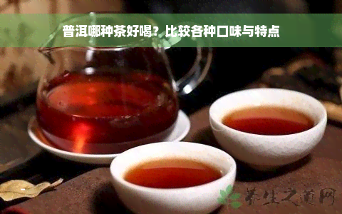 普洱哪种茶好喝？比较各种口味与特点