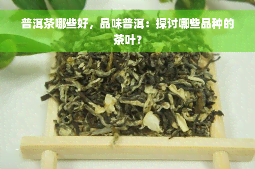 普洱茶哪些好，品味普洱：探讨哪些品种的茶叶？