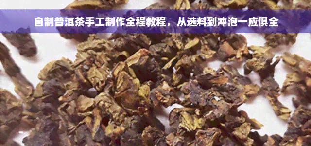 自制普洱茶手工制作全程教程，从选料到冲泡一应俱全