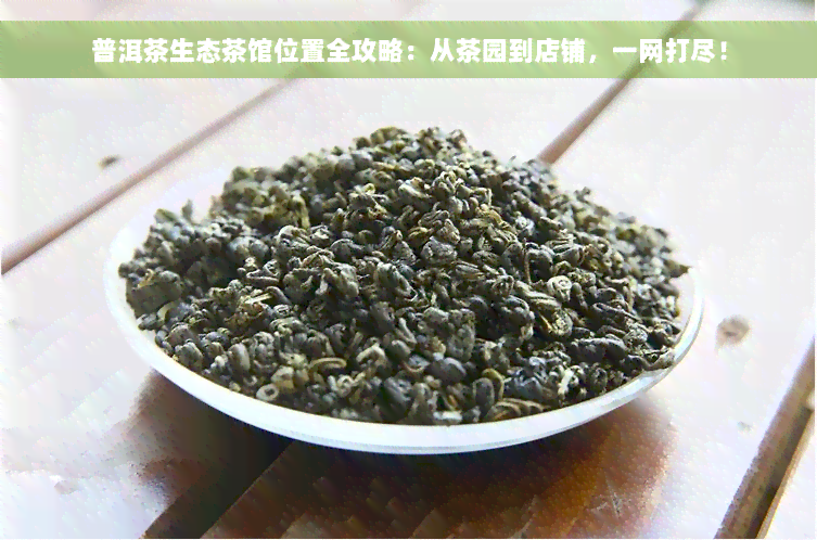 普洱茶生态茶馆位置全攻略：从茶园到店铺，一网打尽！