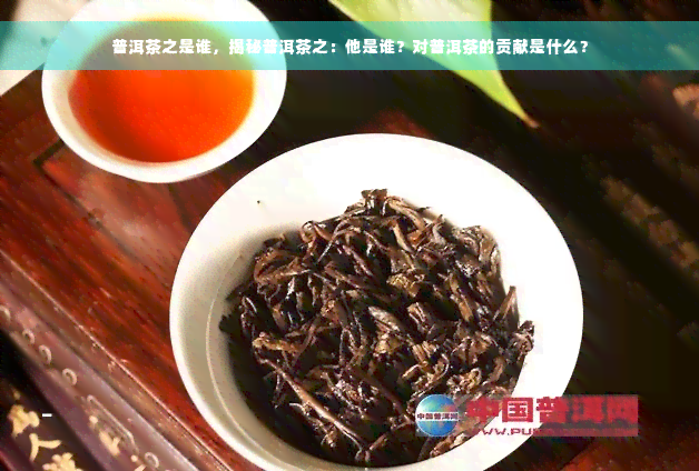 普洱茶之是谁，揭秘普洱茶之：他是谁？对普洱茶的贡献是什么？