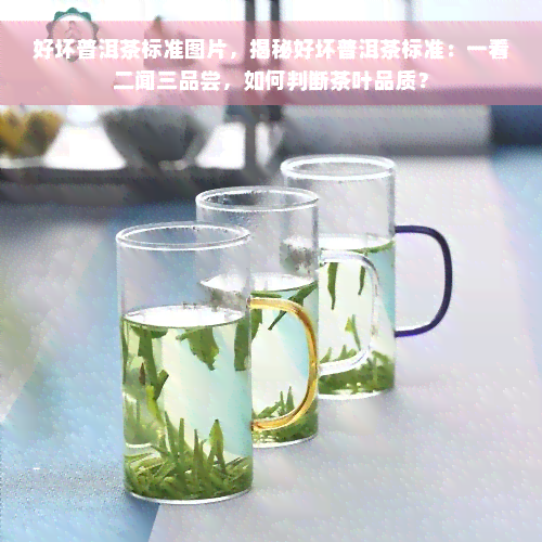 好坏普洱茶标准图片，揭秘好坏普洱茶标准：一看二闻三品尝，如何判断茶叶品质？