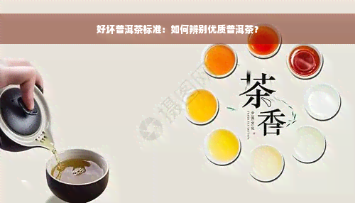 好坏普洱茶标准：如何辨别优质普洱茶？