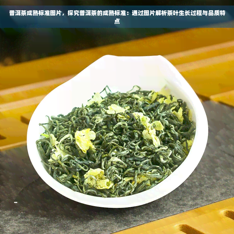 普洱茶成熟标准图片，探究普洱茶的成熟标准：通过图片解析茶叶生长过程与品质特点