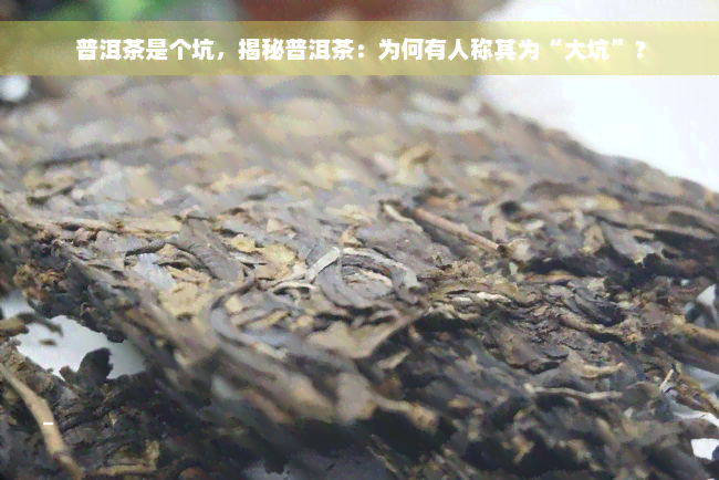 普洱茶是个坑，揭秘普洱茶：为何有人称其为“大坑”？