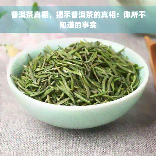 普洱茶真相，揭示普洱茶的真相：你所不知道的事实