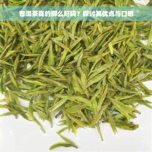 普洱茶真的那么好吗？探讨其优点与口感