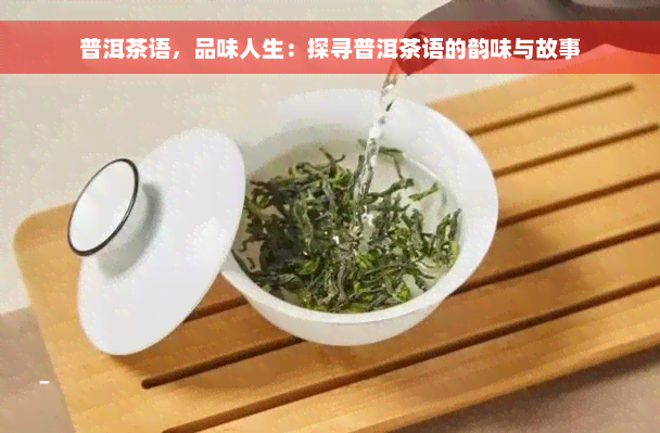 普洱茶语，品味人生：探寻普洱茶语的韵味与故事