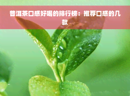 普洱茶口感好喝的排行榜：推荐口感的几款