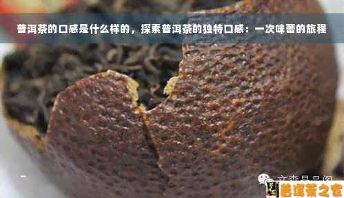 普洱茶的口感是什么样的，探索普洱茶的独特口感：一次味蕾的旅程