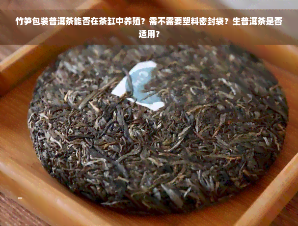 竹笋包装普洱茶能否在茶缸中养殖？需不需要塑料密封袋？生普洱茶是否适用？