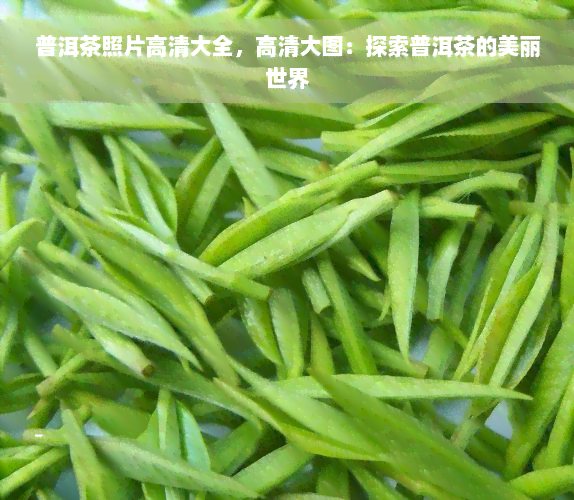 普洱茶照片高清大全，高清大图：探索普洱茶的美丽世界