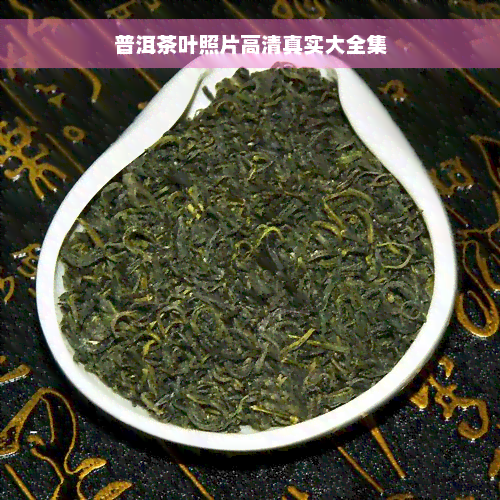 普洱茶叶照片高 *** 实大全集