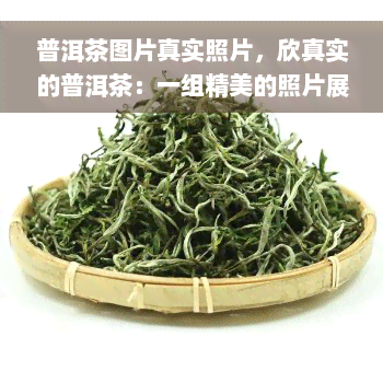 普洱茶图片真实照片，欣真实的普洱茶：一组精美的照片展示