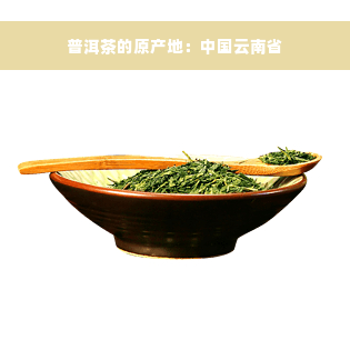 普洱茶的原产地：中国云南省