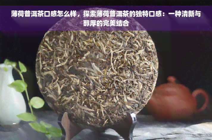 薄荷普洱茶口感怎么样，探索薄荷普洱茶的独特口感：一种清新与醇厚的完美结合