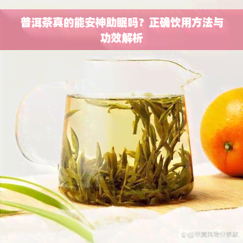 普洱茶真的能安神助眠吗？正确饮用方法与功效解析