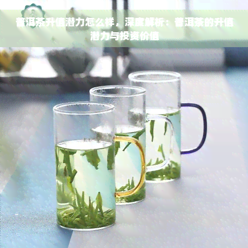 普洱茶升值潜力怎么样，深度解析：普洱茶的升值潜力与投资价值