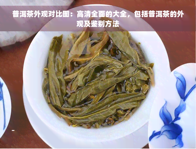 普洱茶外观对比图：高清全面的大全，包括普洱茶的外观及鉴别方法