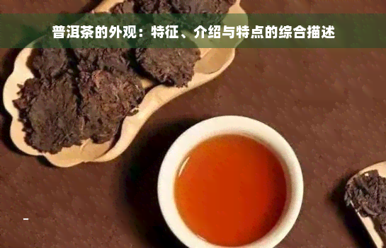 普洱茶的外观：特征、介绍与特点的综合描述