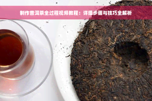 制作普洱茶全过程视频教程：详细步骤与技巧全解析