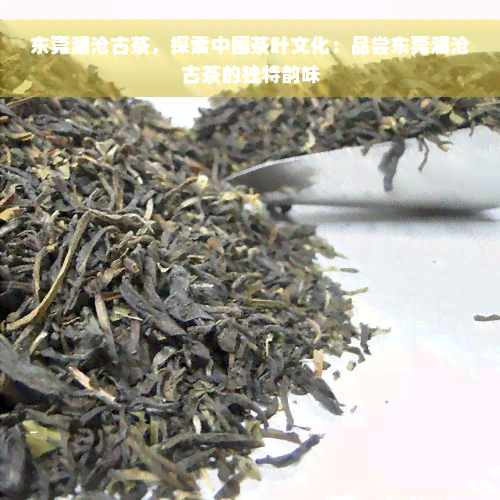 东莞澜沧古茶，探索中国茶叶文化：品尝东莞澜沧古茶的独特韵味