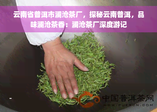 云南省普洱市澜沧茶厂，探秘云南普洱，品味澜沧茶香：澜沧茶厂深度游记