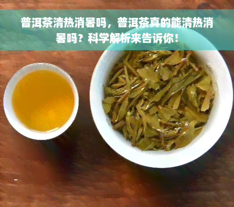 普洱茶清热消暑吗，普洱茶真的能清热消暑吗？科学解析来告诉你！