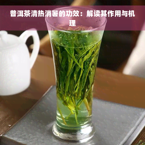 普洱茶清热消暑的功效：解读其作用与机理