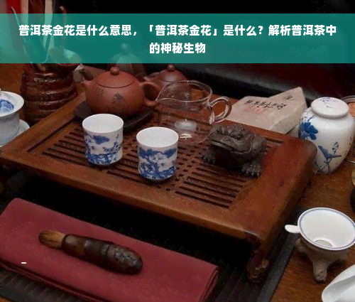 普洱茶金花是什么意思，「普洱茶金花」是什么？解析普洱茶中的神秘生物