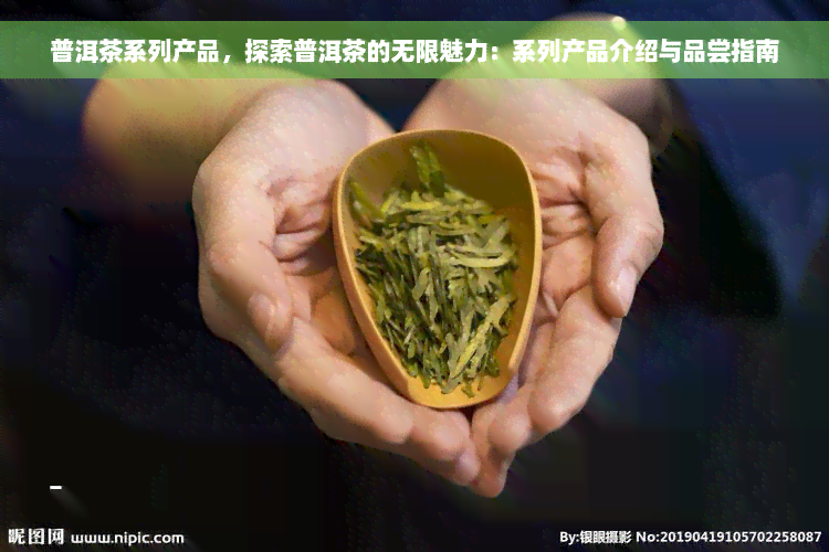 普洱茶系列产品，探索普洱茶的无限魅力：系列产品介绍与品尝指南