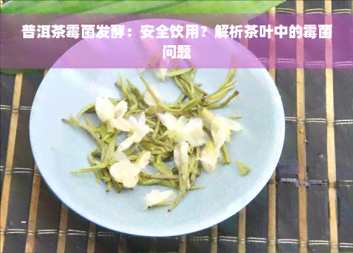 普洱茶霉菌发酵：安全饮用？解析茶叶中的霉菌问题