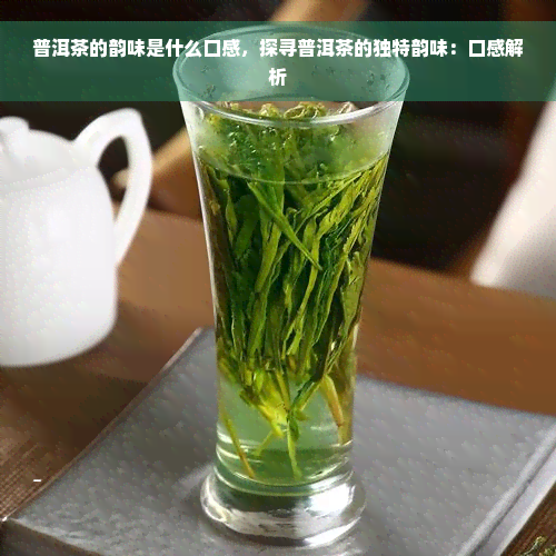 普洱茶的韵味是什么口感，探寻普洱茶的独特韵味：口感解析