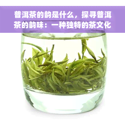 普洱茶的韵是什么，探寻普洱茶的韵味：一种独特的茶文化体验