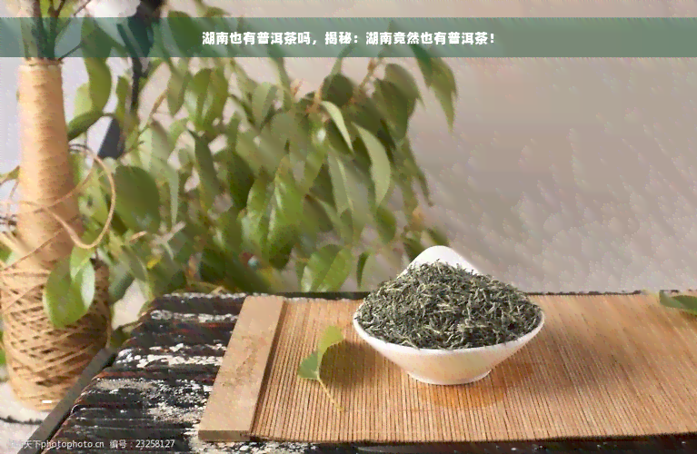 湖南也有普洱茶吗，揭秘：湖南竟然也有普洱茶！