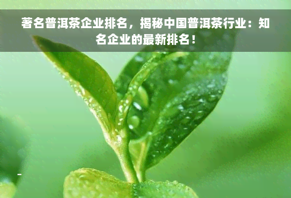 著名普洱茶企业排名，揭秘中国普洱茶行业：知名企业的最新排名！