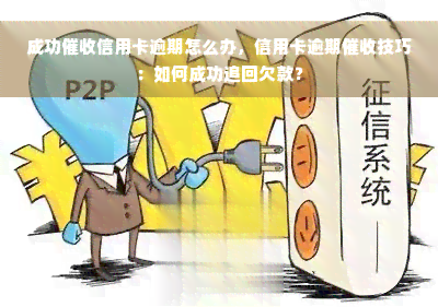 成功催收信用卡逾期怎么办，信用卡逾期催收技巧：如何成功追回欠款？