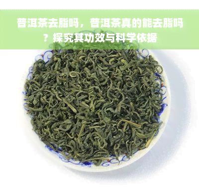 普洱茶去脂吗，普洱茶真的能去脂吗？探究其功效与科学依据