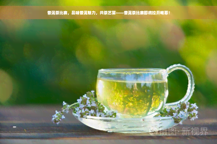 普洱茶比赛，品味普洱魅力，共茶艺宴——普洱茶比赛即将拉开帷幕！