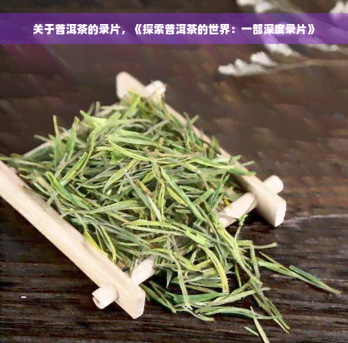 关于普洱茶的录片，《探索普洱茶的世界：一部深度录片》