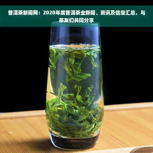 普洱茶新闻网：2020年度普洱茶业新闻、资讯及信息汇总，与茶友们共同分享